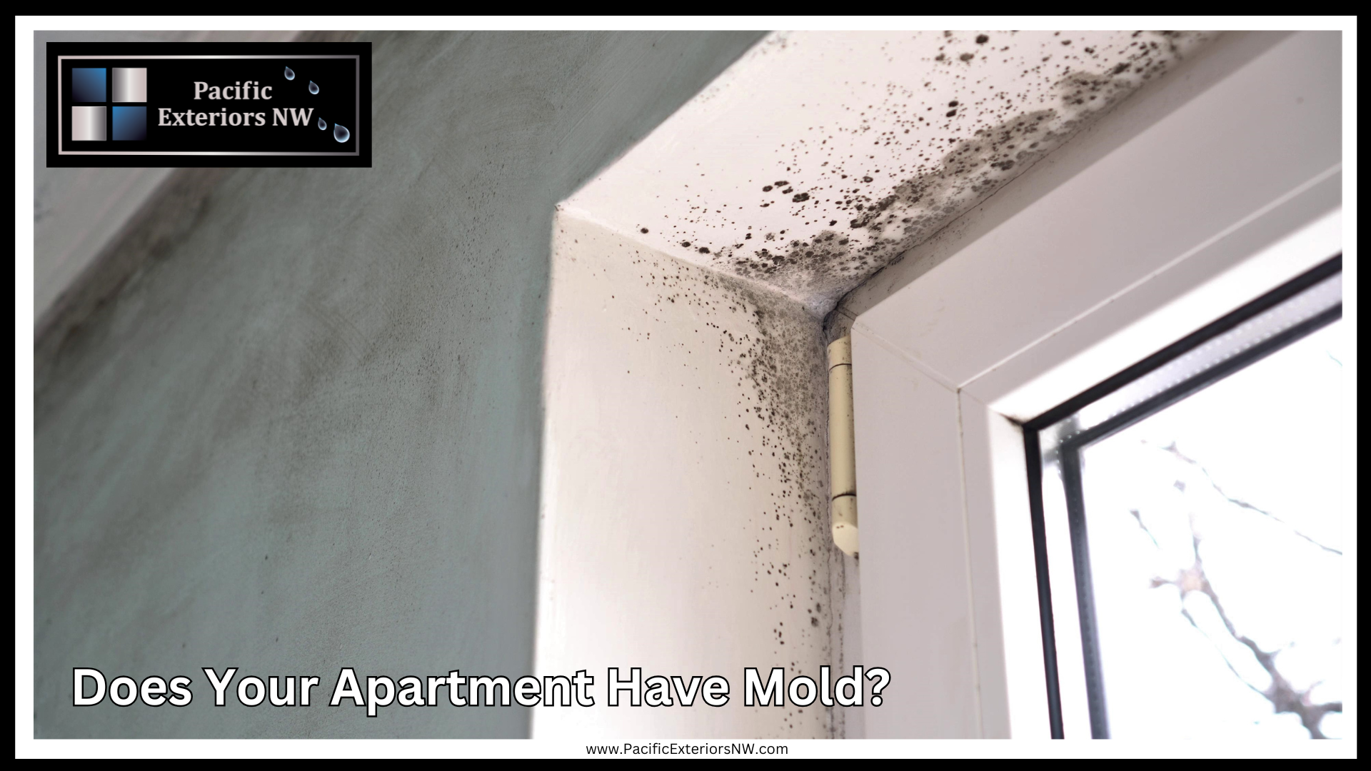 Mold Remediation In Apartments