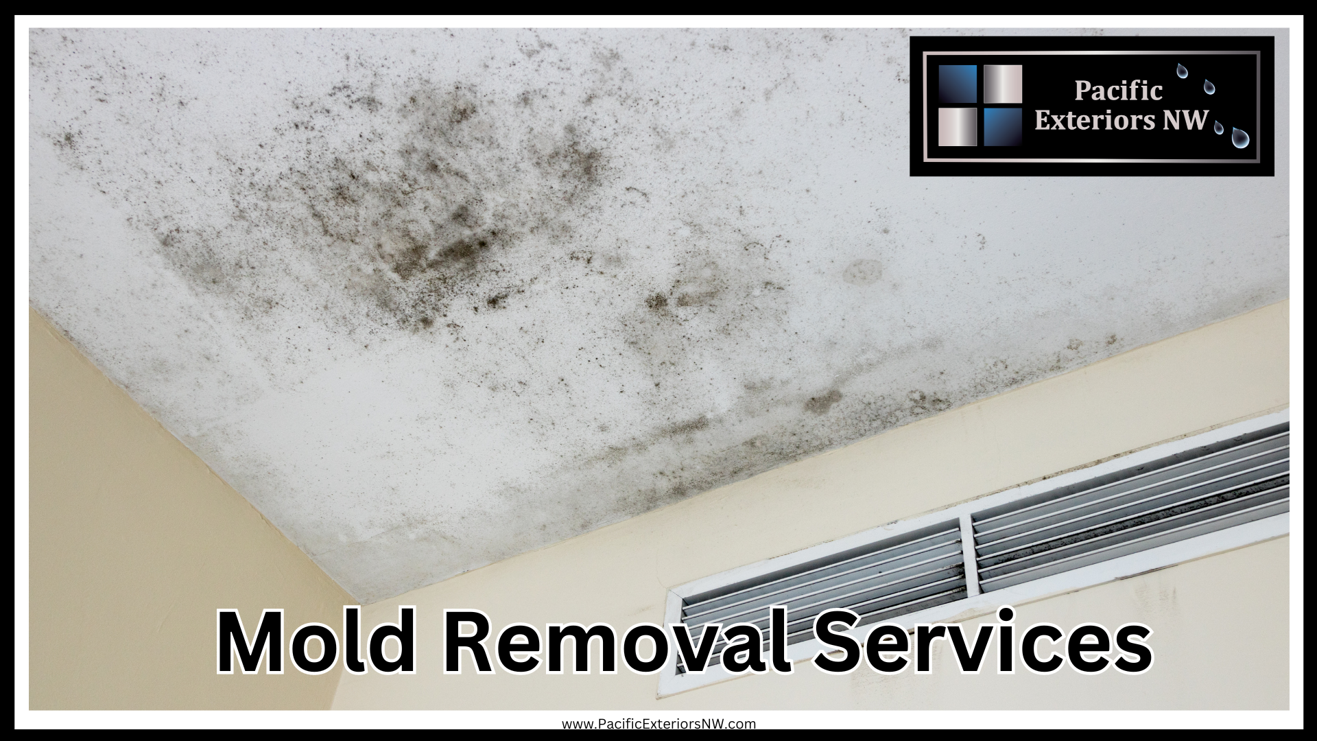 mold-removal-services